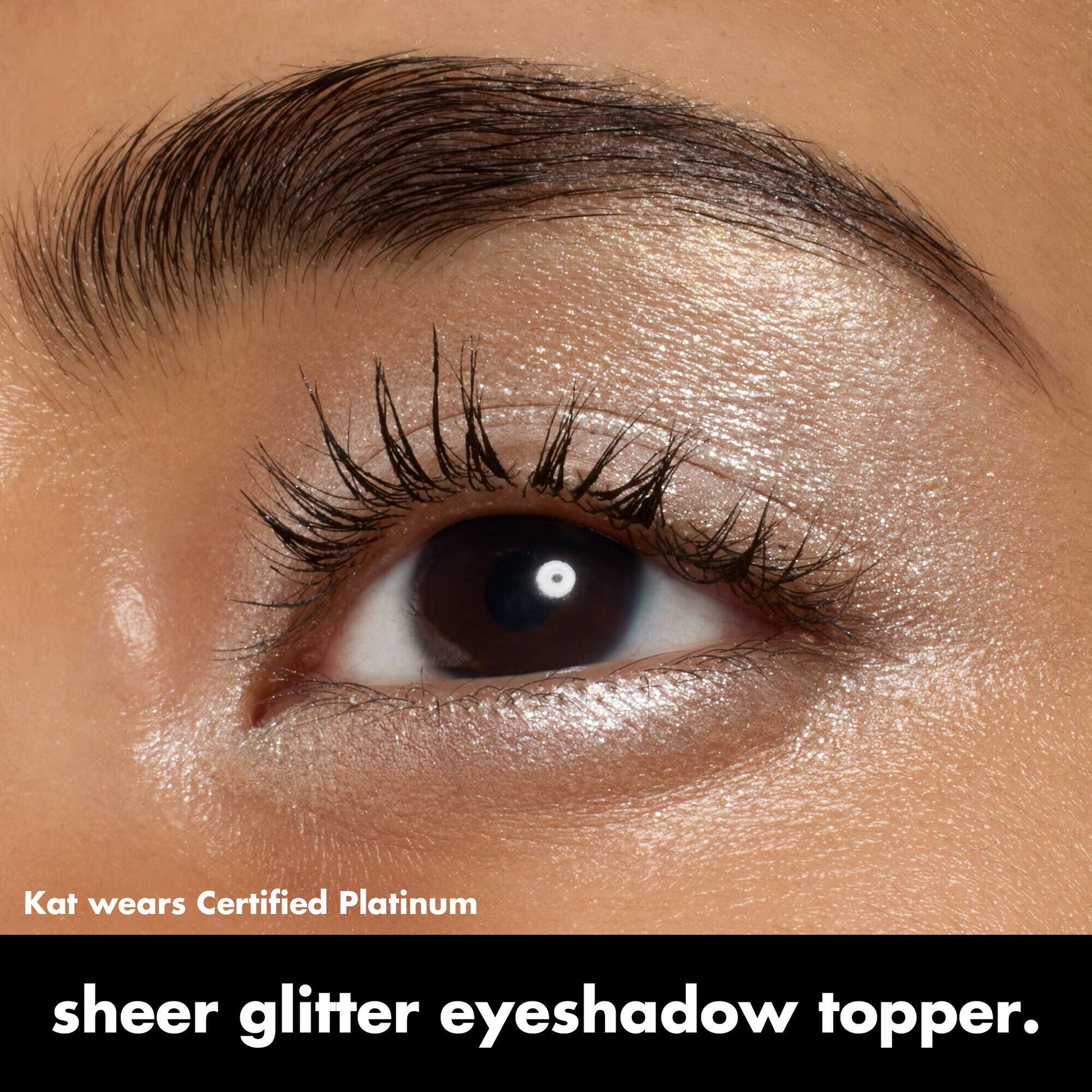fine-as-fleck-glitter-eyeshadow-n4 0424_EDUCATION_FINEASFLECK_EYESHADOW_OnModel_certifiedplatinum_Kat.jpg