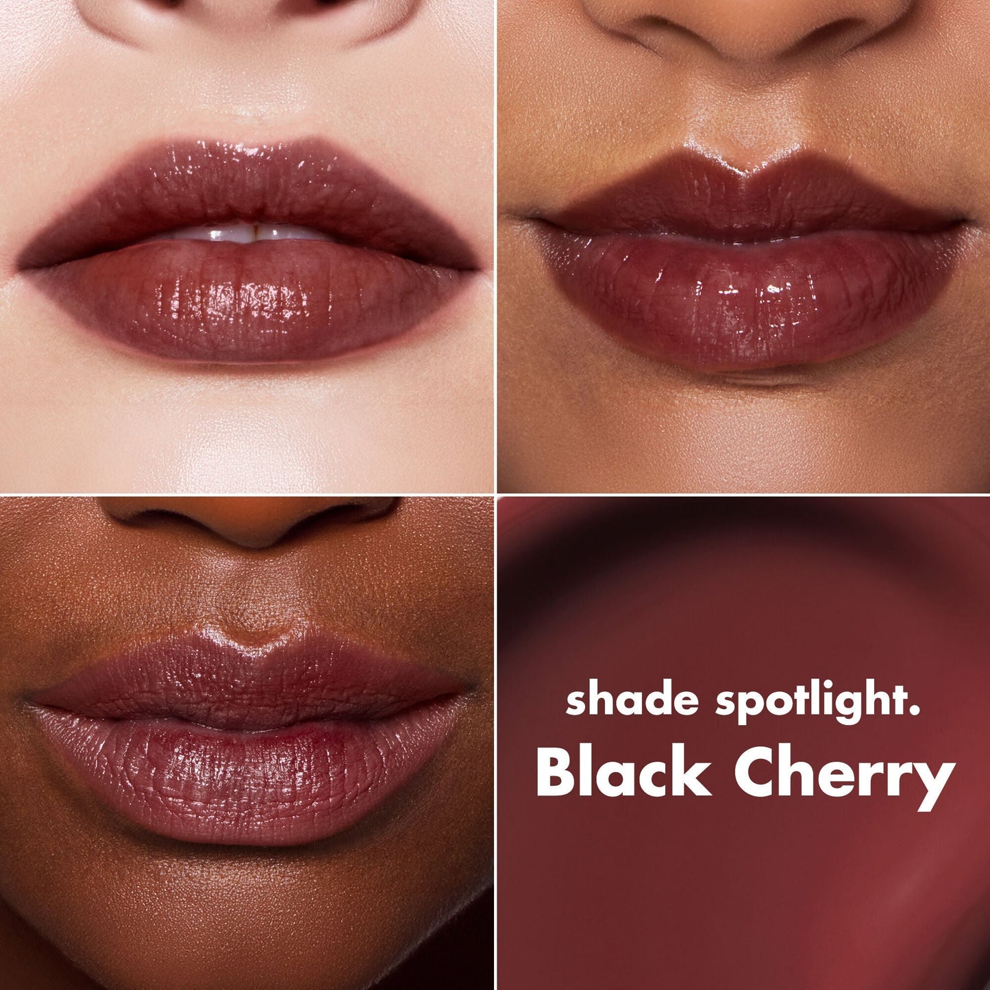lip-lacquer-r0 0426_EDU_LipLaquer_ShadeChart_BlackCherry.jpg