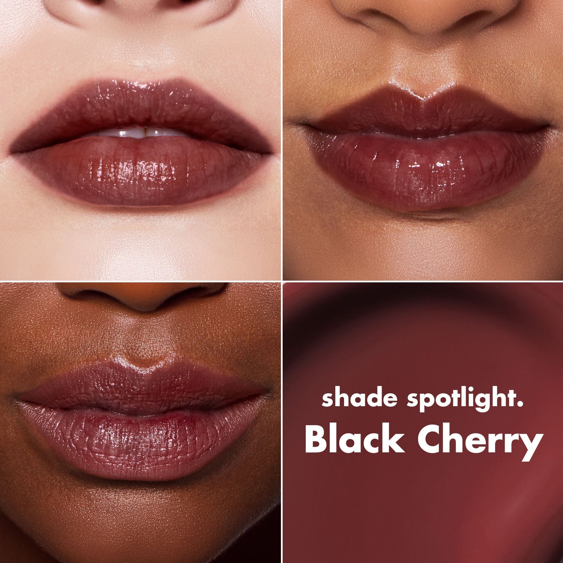 lip-lacquer-r0 0426_EDU_LipLaquer_ShadeChart_BlackCherry.jpg