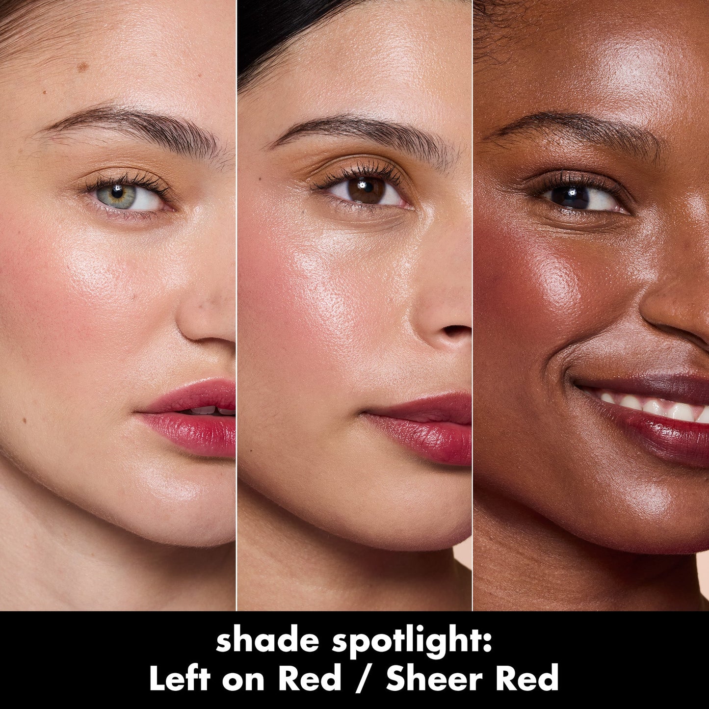 sheer-for-it-blush-tint-a6 0526_SEO_SheerForIt_ShadeSpotlight_LeftOnRed.jpg