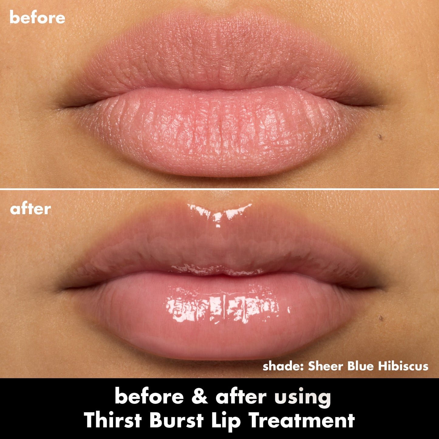 thirst-burst-lip-treatment-s5 0526_SEO_ThirstBurstLipTreatment_BA_SheerBlueHibiscus.jpg