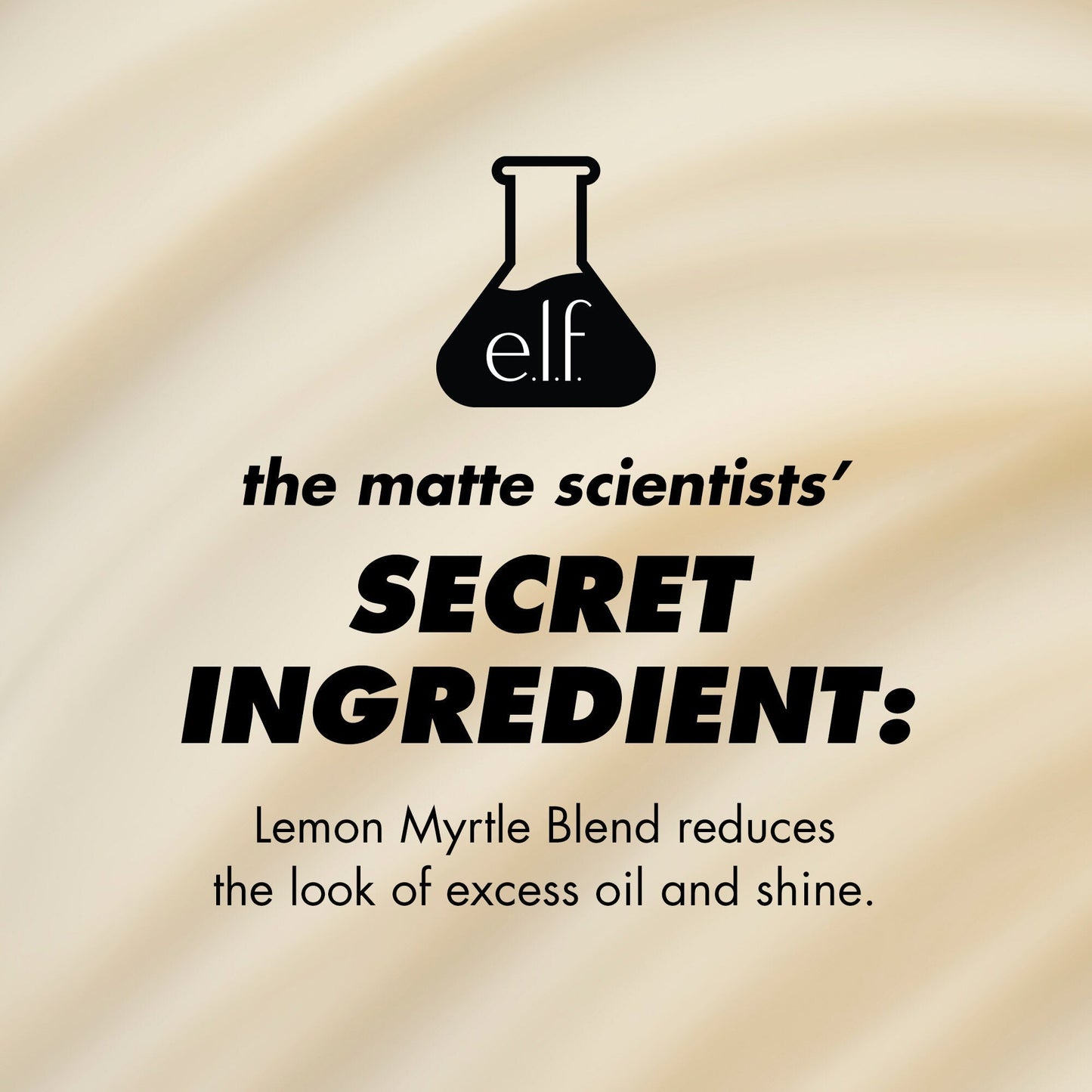 power-grip-matte-primer-w4 1224_EDUCATION_PGMATTE_INGREDIENT_b9de063f-aeb5-403f-9709-c3cafbf9c9d1.jpg